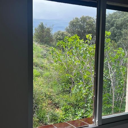 Apartaments La Pertusa 2O Corca  Экстерьер фото