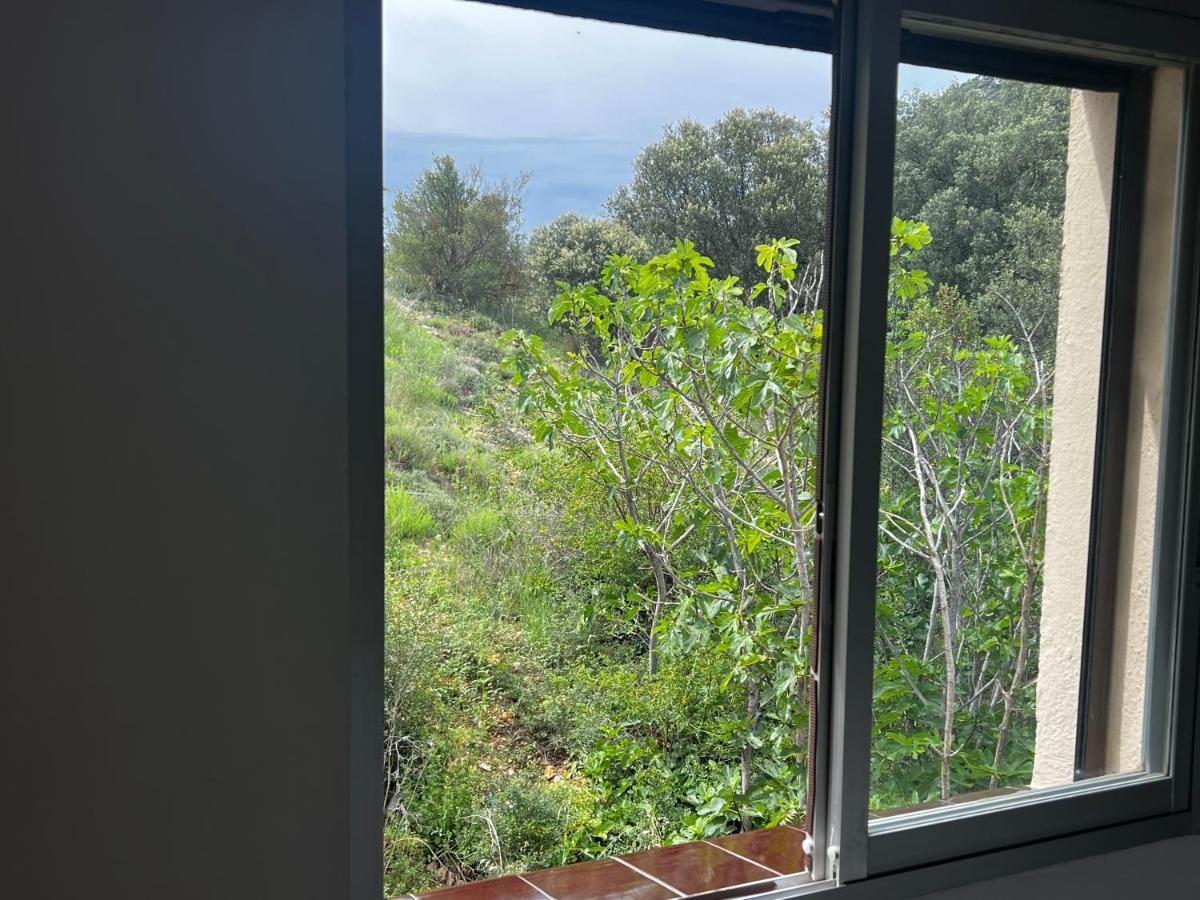 Apartaments La Pertusa 2O Corca  Экстерьер фото